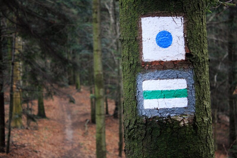 Na szlaku pomiędzy Ostrym Kamieniem a Liwecką Górą
